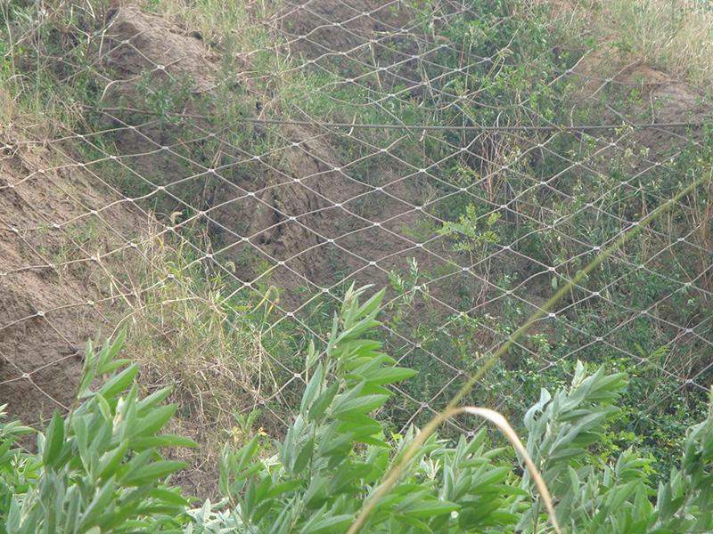 河源GAR2型主動防護網(wǎng)