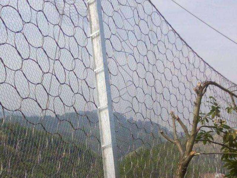 眉山RXI-200環(huán)形被動防護網